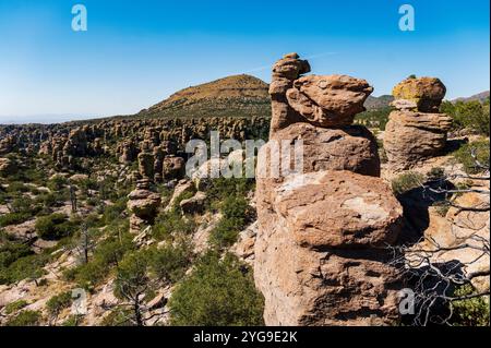 Formazioni rocciose insolite; Massai Point; Chiricahua National Monument; Arizona; USA Foto Stock