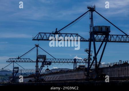 Sagoma delle gru lungo il fiume Nervion a Portugale, zona industriale a nord di Bilbao, Paesi Baschi, Spagna Foto Stock