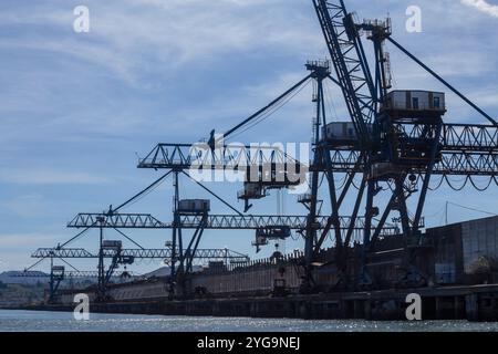 Sagoma delle gru lungo il fiume Nervion a Portugale, zona industriale a nord di Bilbao, Paesi Baschi, Spagna Foto Stock