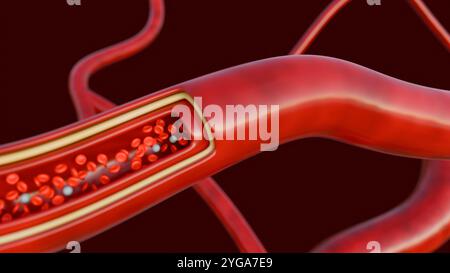 Una rappresentazione 3d della vista microscopica rivela una vivace autostrada di cellule del sangue, con i globuli rossi che scorrono oltre, trasportando ossigeno ai tessuti del corpo Foto Stock