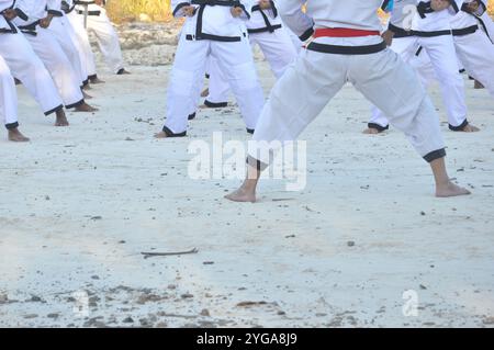 Allenamento delle arti marziali, con l'addestramento dei partecipanti alle arti marziali bianche con cinture rosse e nere Foto Stock