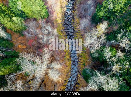 Vista aerea di una marmellata di tronchi lungo un torrente nella North Cascades, nello stato di Washington, Stati Uniti Foto Stock