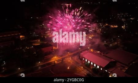 I vivaci fuochi d'artificio illuminano il cielo notturno, esplodendo in colori e motivi scintillanti, creando uno spettacolo mozzafiato Foto Stock