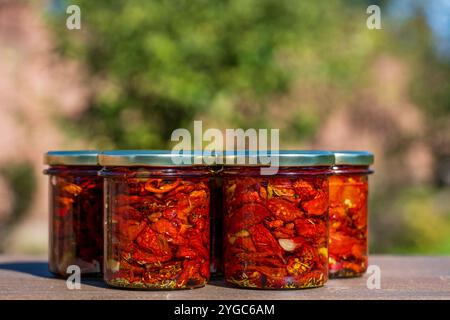 Pomodoro rosso essiccato al sole con aglio, rosmarino, olio d'oliva e spezie in vasetti di vetro su un tavolo di legno. Stile rustico, primo piano Foto Stock