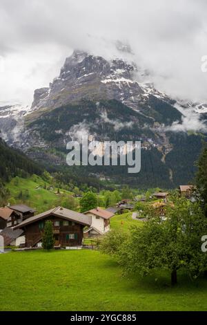 Chalets tradizionali in legno punteggiano prati verdi nel villaggio di Grindelwald, Svizzera, sotto le vette avvolte dalle nuvole dell'Oberland bernese. Foto Stock