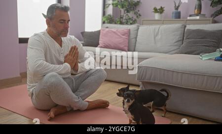 Un uomo ispanico di mezza età pratica yoga all'interno su un tappeto rosa nel suo soggiorno, accompagnato da due chihuahua. Foto Stock