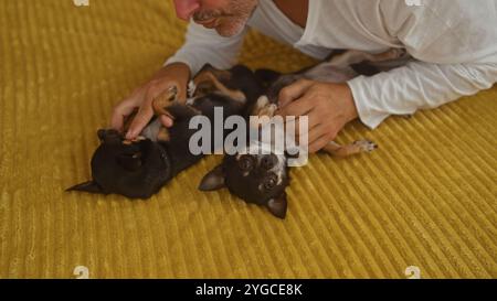 Un uomo adulto giace su un letto in un'accogliente camera da letto, interagendo giocosamente con due piccoli chihuahua, mostrando un legame amorevole con i suoi animali domestici in un ambiente interno accogliente Foto Stock