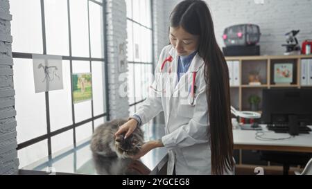 Una giovane donna cinese veterinaria sta esaminando un gatto in una stanza clinica veterinaria illuminata con attrezzature mediche e file sullo sfondo. Foto Stock