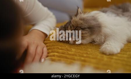 Una donna giace su un letto toccando delicatamente un gatto dormiente in una camera da letto accogliente, creando un momento sereno e intimo all'interno di casa. Foto Stock