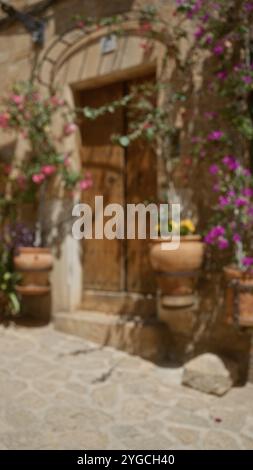 Fiori sfocati e piante in vaso che incorniciano una porta rustica in legno in un ambiente all'aperto a maiorca, spagna, con lo sfondo splendidamente sfocato Foto Stock