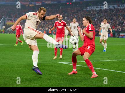 Harry Kane, FCB 9 gareggiano per il pallone, tackle, duello, colpo di testa, zweikampf, azione, lotta contro Alvaro Carreras, Liss 3 nella partita di campionato a gironi FC BAYERN MUENCHEN - SL BENFICA LISSABON 1-0 di calcio UEFA Champions League nella stagione 2024/2025 a Monaco di Baviera, 06 novembre 2024, FCB, 4. Spieltag, München fotografo: Peter Schatz Foto Stock