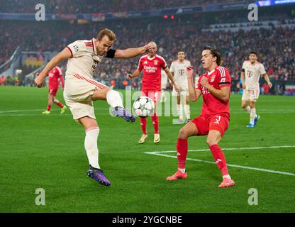 Harry Kane, FCB 9 gareggiano per il pallone, tackle, duello, colpo di testa, zweikampf, azione, lotta contro Alvaro Carreras, Liss 3 nella partita di campionato a gironi FC BAYERN MUENCHEN - SL BENFICA LISSABON 1-0 di calcio UEFA Champions League nella stagione 2024/2025 a Monaco di Baviera, 06 novembre 2024, FCB, 4. Spieltag, München fotografo: Peter Schatz Foto Stock