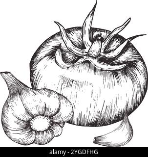 Composizione di inchiostro vegetariano con pomodori freschi e aglio. Clipart art in bianco e nero per menu, ristorante, carta da parati per cucina. Prodotto AN Illustrazione Vettoriale