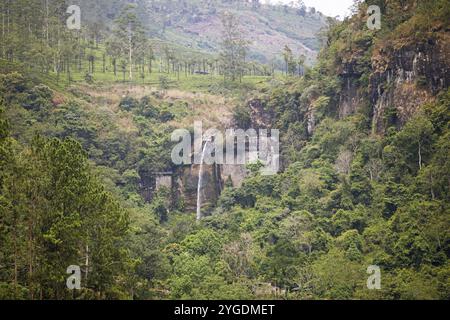 Ramboda Falls, Nuwara Eliya, Central Province, Sri Lanka, Asia Foto Stock