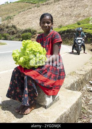 Ragazza dello Sri Lanka che vende lattuga per strada, Nuwara Eliya, Provincia centrale, Sri Lanka, Asia Foto Stock