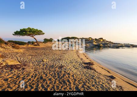 Vourvourou, Sithonia, Grecia, 17 settembre 2019: Coppia che cammina all'alba sulla spiaggia di Karidi. Halkidiki, paesaggio mediterraneo con pini sulla costa, Foto Stock