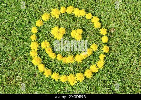 Faccia sorridente fatta di fiori di dente di leone su prato d'erba Foto Stock