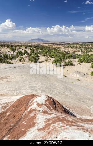 Immagine verticale del paesaggio desertico con roccia in primo piano Foto Stock