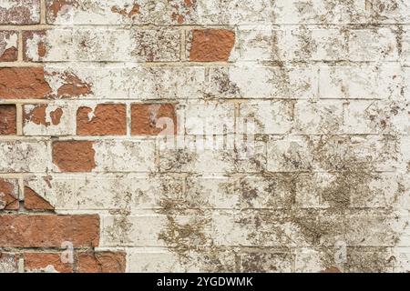 Sfondo stagionato vecchio muro di mattoni con vernice staccata Foto Stock