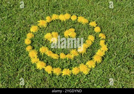 Faccia sorridente fatta di fiori di dente di leone su un prato d'erba Foto Stock