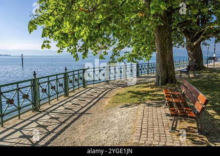 Panchina sull'idilliaca passeggiata a Friedrichshafen, sul Lago di Costanza, nella Germania meridionale Foto Stock