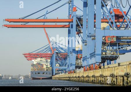 Impianti portuali, terminal container e grandi navi portacontainer ad Amburgo, Germania, Europa Foto Stock