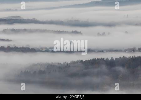 Atmosfera autunnale al mattino presto, la nebbia si propaga attraverso il paesaggio collinare, St. Andrae-Hoech, regione vinicola Sausal, Stiria, Austria, Europa Foto Stock