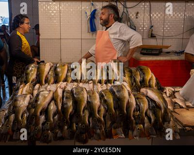 Nel mercato coperto Adolpho Lisboa a Manaus. Ecco il mercato del pesce. Foto Stock