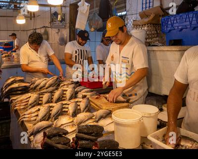 Nel mercato coperto Adolpho Lisboa a Manaus. Ecco il mercato del pesce. Foto Stock