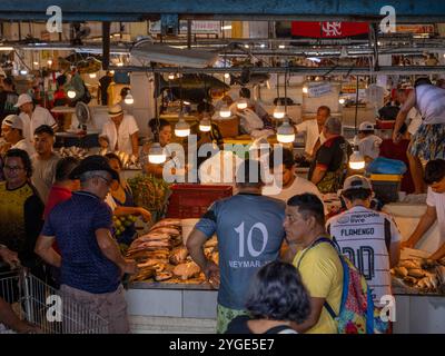 Nel mercato coperto Adolpho Lisboa a Manaus. Ecco il mercato del pesce. Foto Stock