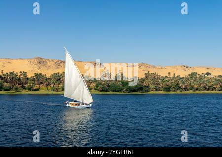 =barca a vela tradizionale egiziana (felucca) sul fiume Nilo, Egitto Foto Stock