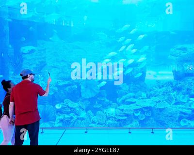 SEO Description: L'immagine mostra i visitatori che ammirano il Dubai Aquarium al Dubai Mall. La grande e vivace vasca è piena di una varietà di vita marina, Foto Stock