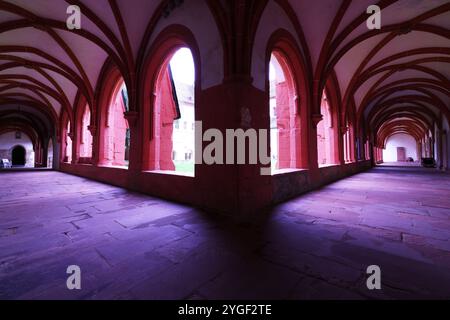 Kloster Eberbach, Rhein, Kloster, Filmkulisse, Weinkeller, Weinfass, Presse, Weinpresse, Traubenpresse, Filmkulisse für im Namen der Rose Foto Stock