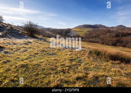 paesaggio di campagna montuosa dell'ucraina in autunno. alberi senza foglie in una mattina di sole. prati erbosi e colline boscose. il distretto di volovets nel fal Foto Stock