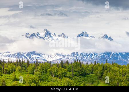 Vista dei Monti Foraker da Parks Highway, Alaska, U.S.A. Foto Stock