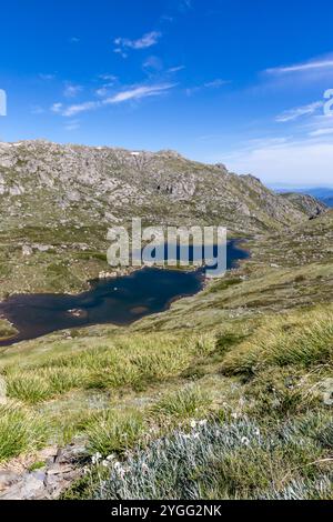 Camminate sulla catena principale del Monte Kosciuszko, mostrando terreni accidentati e tranquilli laghi alpini in una giornata di sole, in Australia Foto Stock