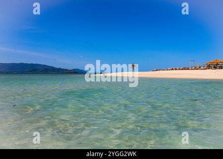 Koh Madsum (o Koh Mat Sum o Pig Island). L'isola, vicino a Koh Samui, è un'attrazione turistica principalmente a causa della presenza di maiali liberi di muoversi sulla spiaggia. Foto Stock