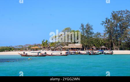 Koh Madsum (o Koh Mat Sum o Pig Island). L'isola, vicino a Koh Samui, è un'attrazione turistica principalmente a causa della presenza di maiali liberi di muoversi sulla spiaggia. Foto Stock