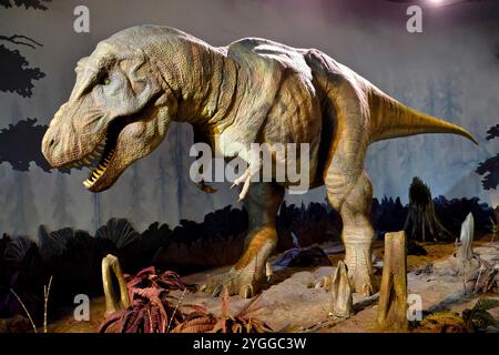 Un commovente modello animatronico di un dinosauro Tyrannosaurus Rex nel Museo di storia naturale, Londra, Regno Unito. Foto Stock