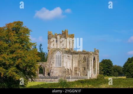 Tintern Abbey Wexford Foto Stock