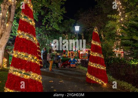 Decorazioni natalizie nel giardino cittadino di Funchal Foto Stock