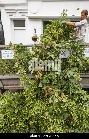 Inghilterra, Kent, Faversham, l'Annual Hop Festival, Farmer Selling Hop Vines Foto Stock