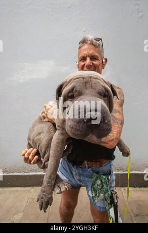 Inghilterra, Kent, Folkestone, Ritratto di uomo che tiene in mano un cane da compagnia di grandi dimensioni Foto Stock