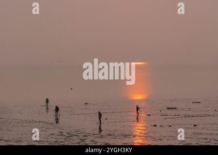 Inghilterra, Kent, Isola di Sheppey, Sheerness, Minster, metal detector all'alba sull'estuario del Tamigi Foto Stock