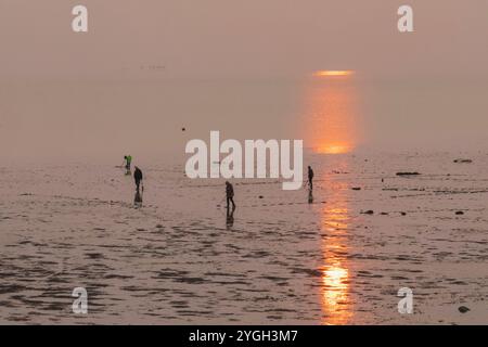 Inghilterra, Kent, Isola di Sheppey, Sheerness, Minster, metal detector all'alba sull'estuario del Tamigi Foto Stock