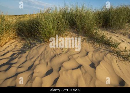 Inghilterra, Kent e East Sussex, Camber Sands Foto Stock