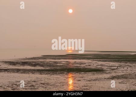 Inghilterra, Kent, Isola di Sheppey, Sheerness, Minster, metal detector all'alba sull'estuario del Tamigi Foto Stock