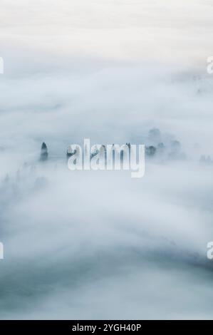 Atmosfera mattutina autunnale sui prati di Allgäu e sul paesaggio forestale immersi in un mare fiabesco di nebbia Foto Stock