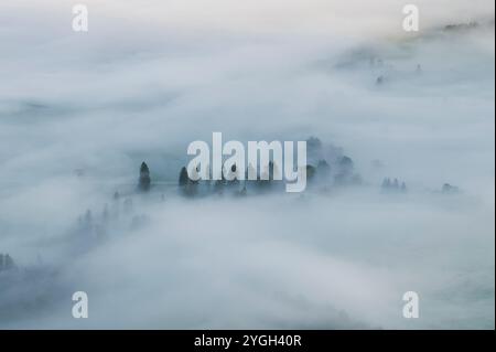 Atmosfera mattutina autunnale sui prati di Allgäu e sul paesaggio forestale immersi in un mare fiabesco di nebbia Foto Stock