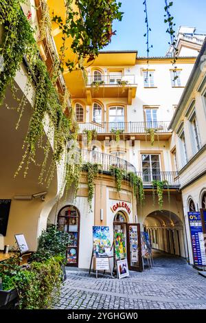 Pittoresco cortile nel palazzo Richter dum a Malé náměstí, con negozi e piante, nella città vecchia, Praga, Repubblica Ceca. Foto Stock